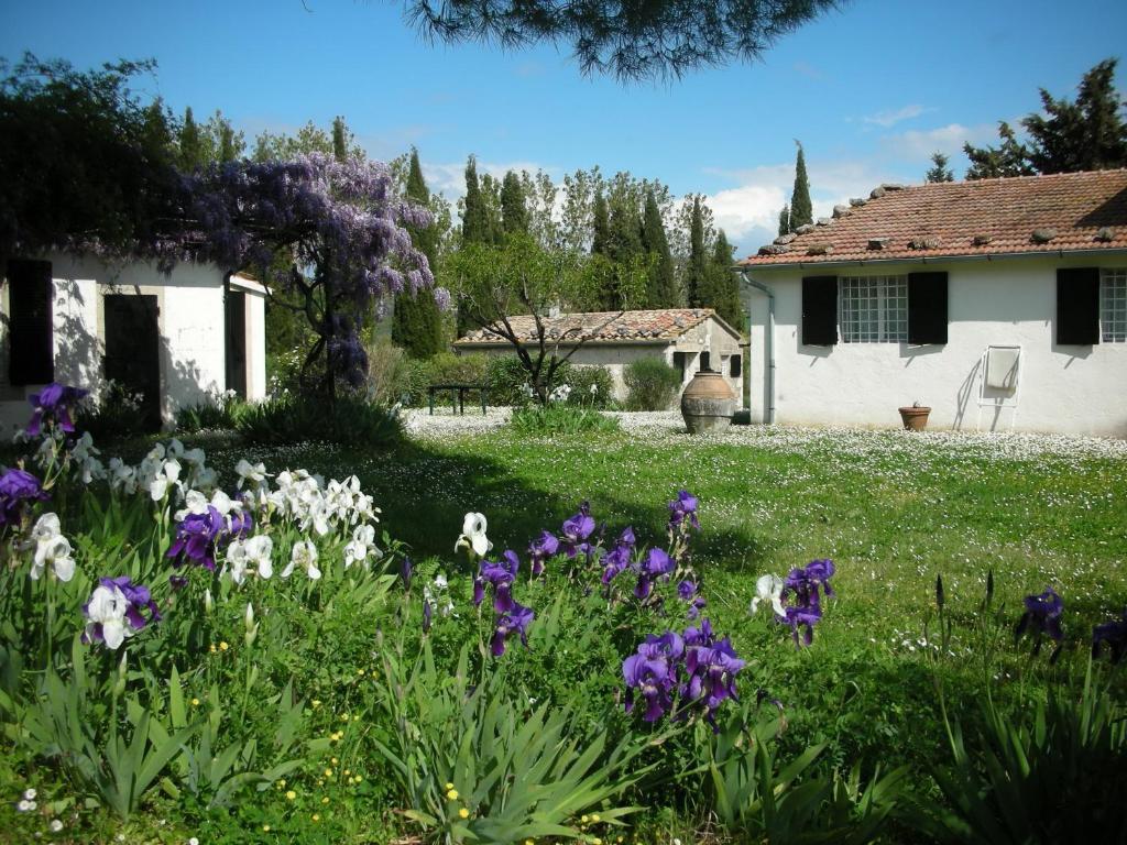 Vignagrande Agriturismo Saturnia Chambre photo